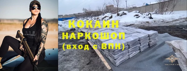 сатива Корсаков
