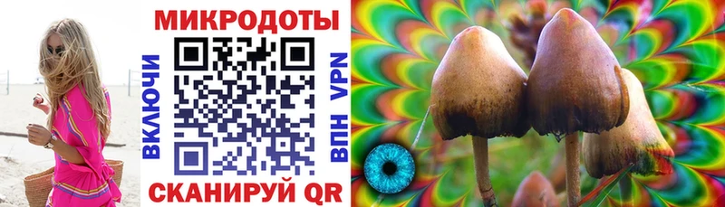 Псилоцибиновые грибы мухоморы  как найти закладки  Нижний Новгород 