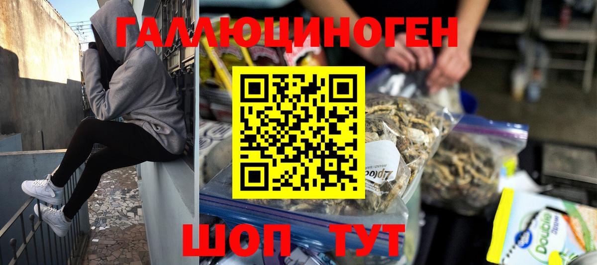 Галлюциногенные грибы Psilocybine cubensis Нижний Новгород